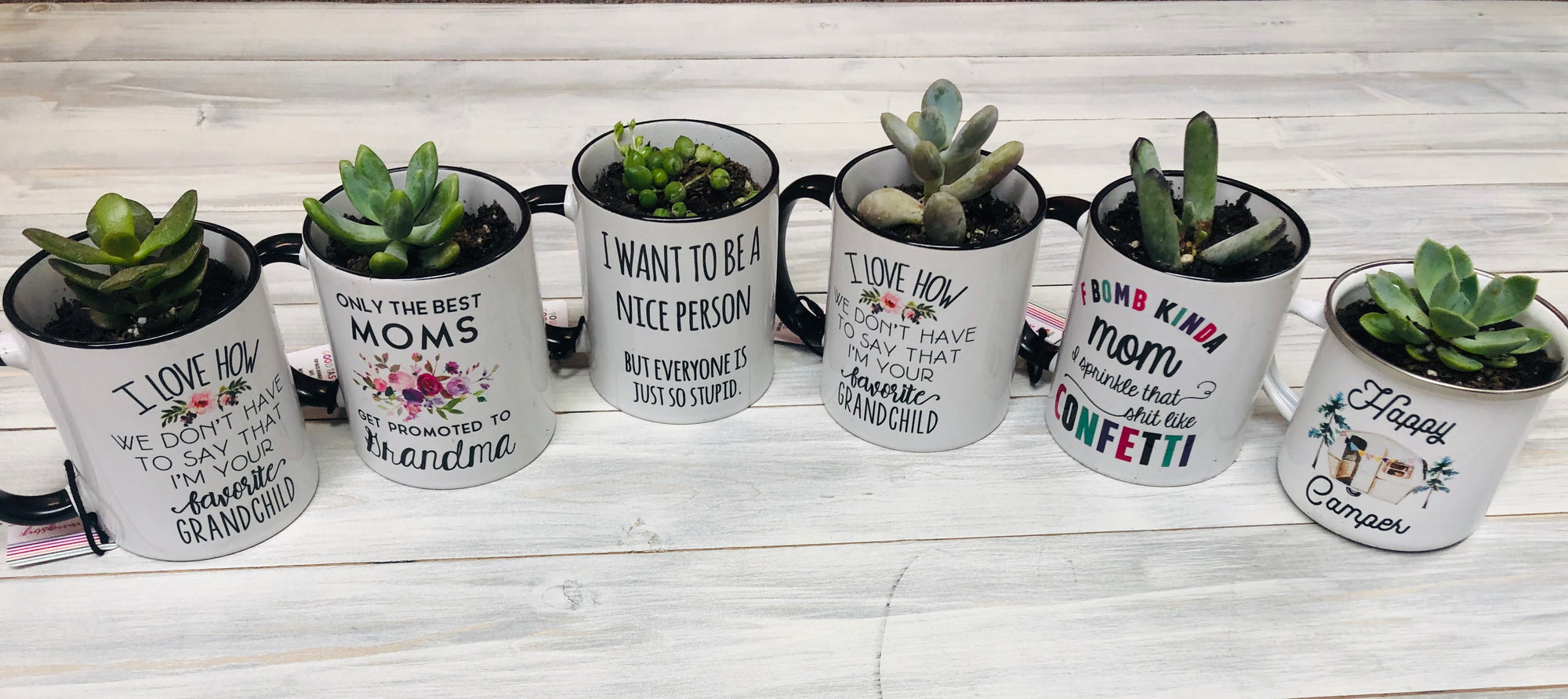 Mother's Day Succulent Bar Event